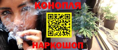 сатива Ливны